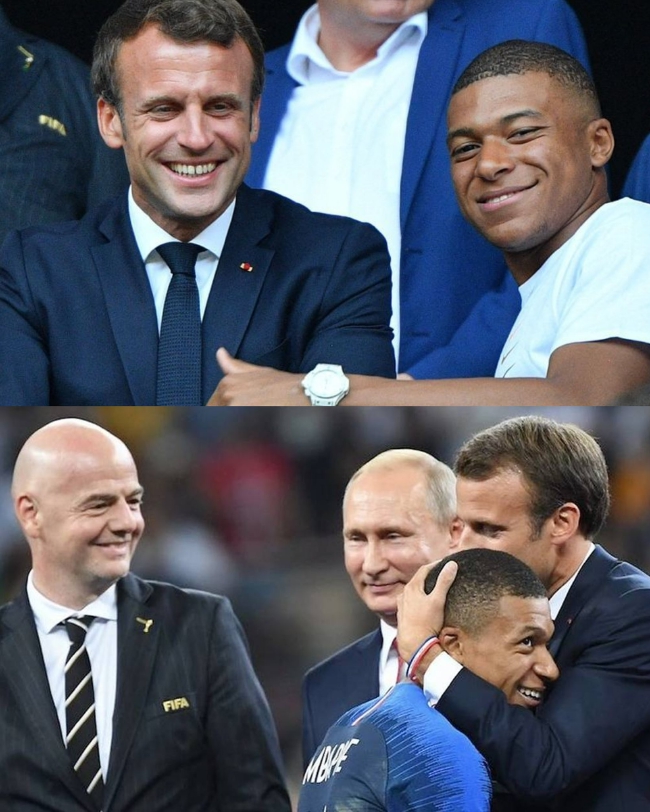 的表现样本 的表现样本